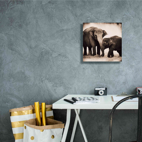 Image of 'Elephant III Sepia' by Debra Van Swearingen, Canvas Wall Art,12 x 12