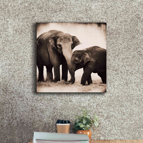 Image of 'Elephant III Sepia' by Debra Van Swearingen, Canvas Wall Art,18 x 18