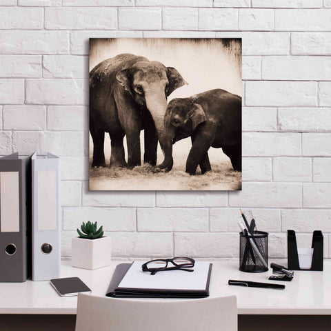 Image of 'Elephant III Sepia' by Debra Van Swearingen, Canvas Wall Art,18 x 18