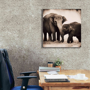 'Elephant III Sepia' by Debra Van Swearingen, Canvas Wall Art,26 x 26
