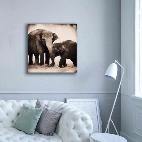 Image of 'Elephant III Sepia' by Debra Van Swearingen, Canvas Wall Art,37 x 37