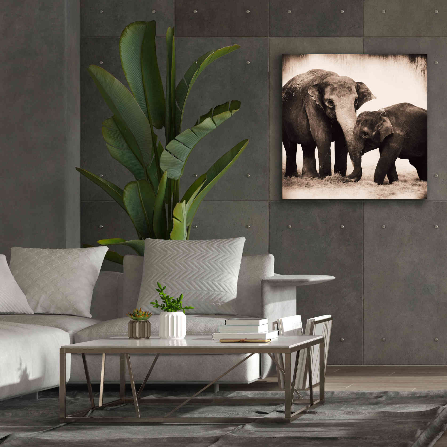 'Elephant III Sepia' by Debra Van Swearingen, Canvas Wall Art,37 x 37