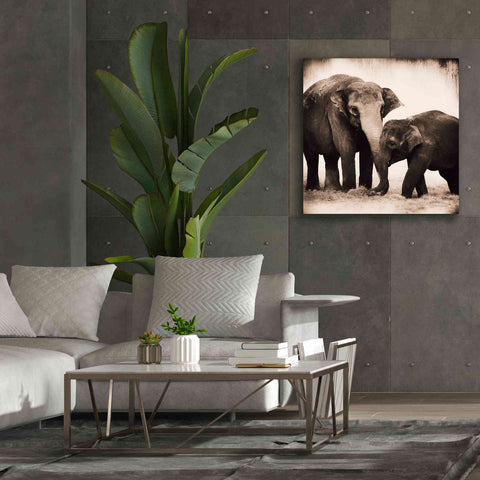 Image of 'Elephant III Sepia' by Debra Van Swearingen, Canvas Wall Art,37 x 37