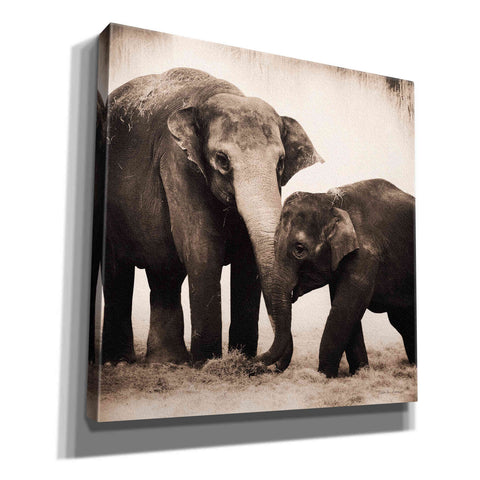 Image of 'Elephant III Sepia' by Debra Van Swearingen, Canvas Wall Art,12x12x1.1x0,18x18x1.1x0,26x26x1.74x0,37x37x1.74x0