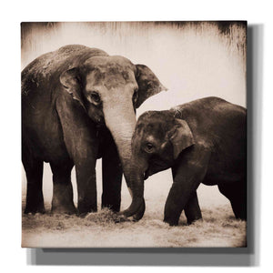 'Elephant III Sepia' by Debra Van Swearingen, Canvas Wall Art,12x12x1.1x0,18x18x1.1x0,26x26x1.74x0,37x37x1.74x0