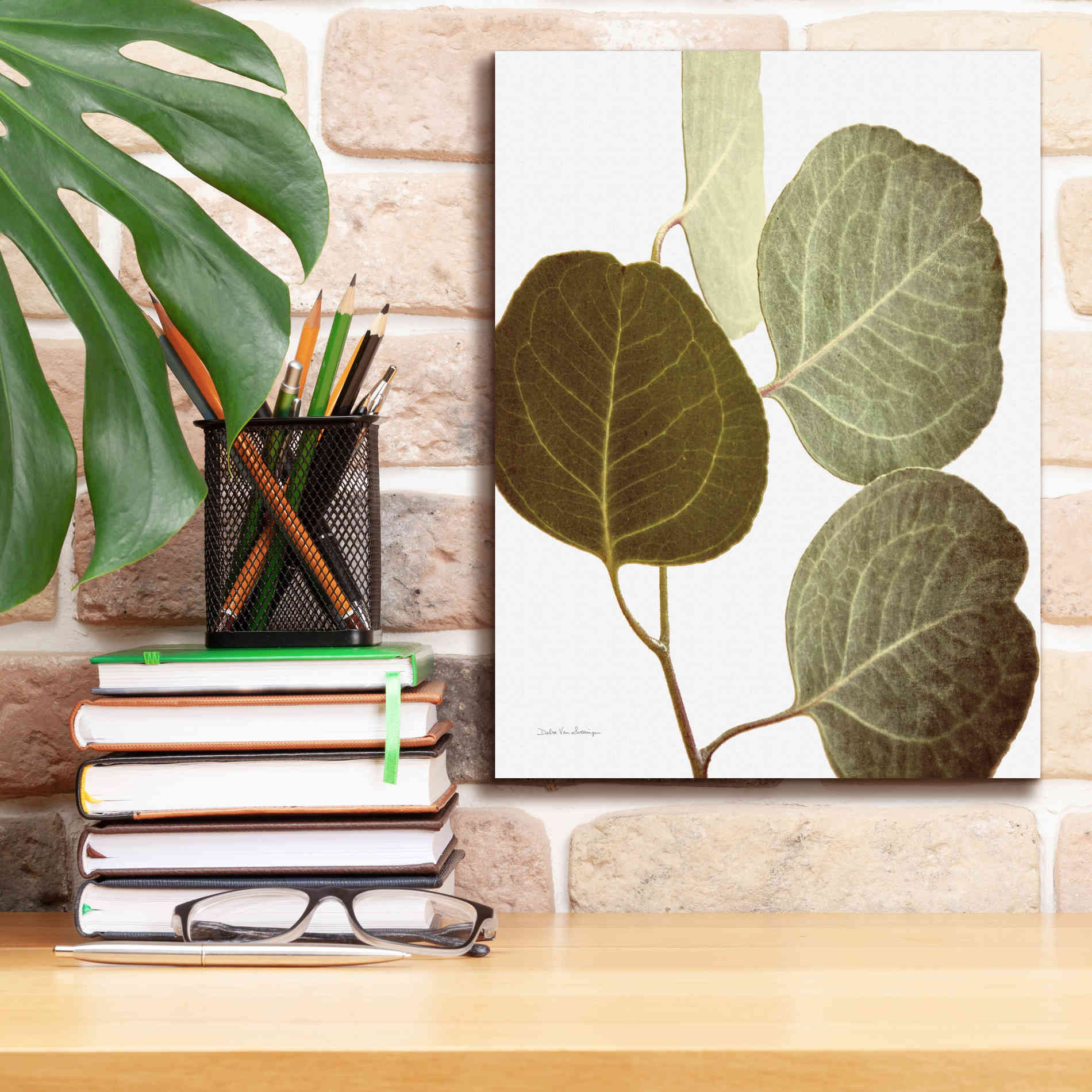 'Eucalyptus Color on White' by Debra Van Swearingen, Canvas Wall Art,12 x 16