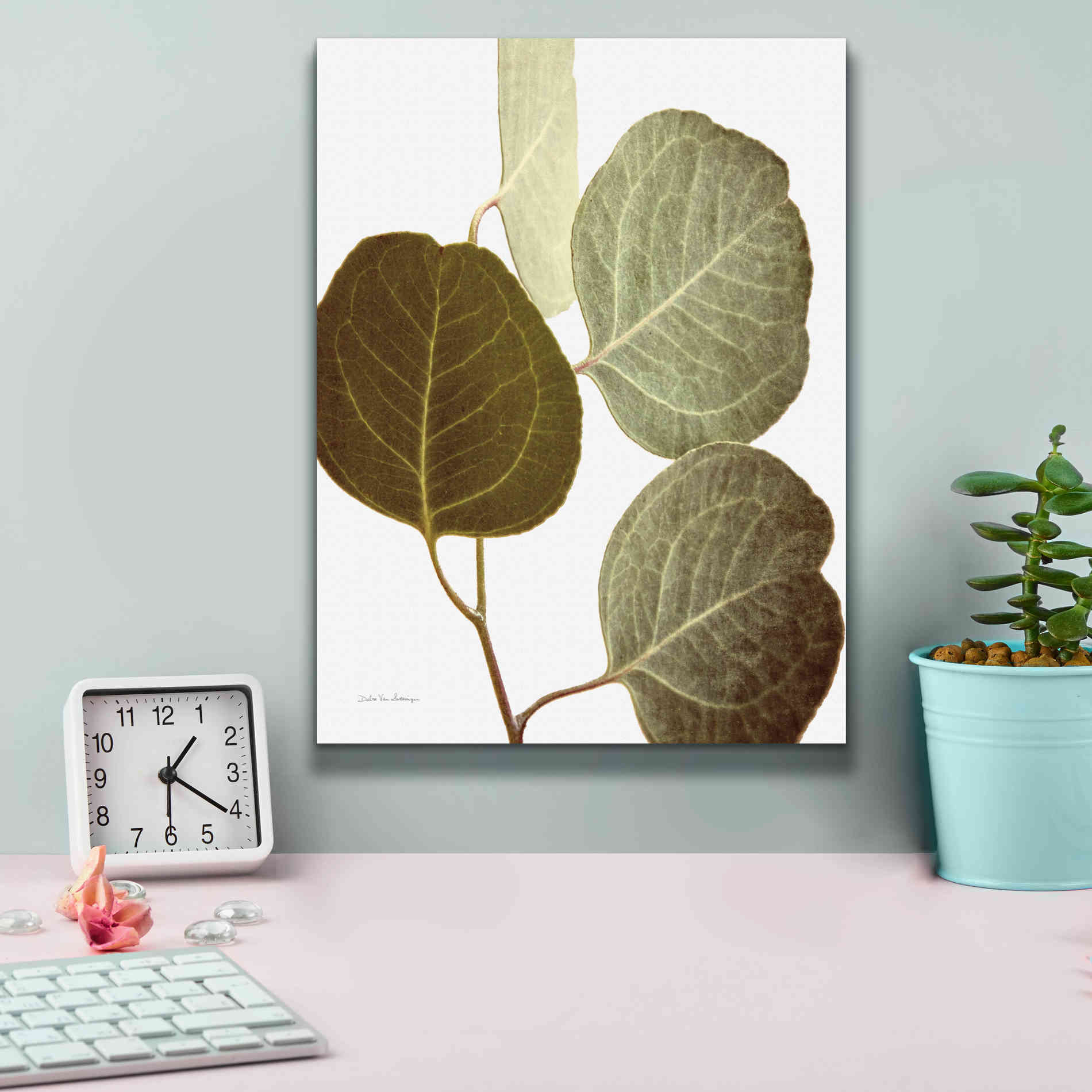 'Eucalyptus Color on White' by Debra Van Swearingen, Canvas Wall Art,12 x 16
