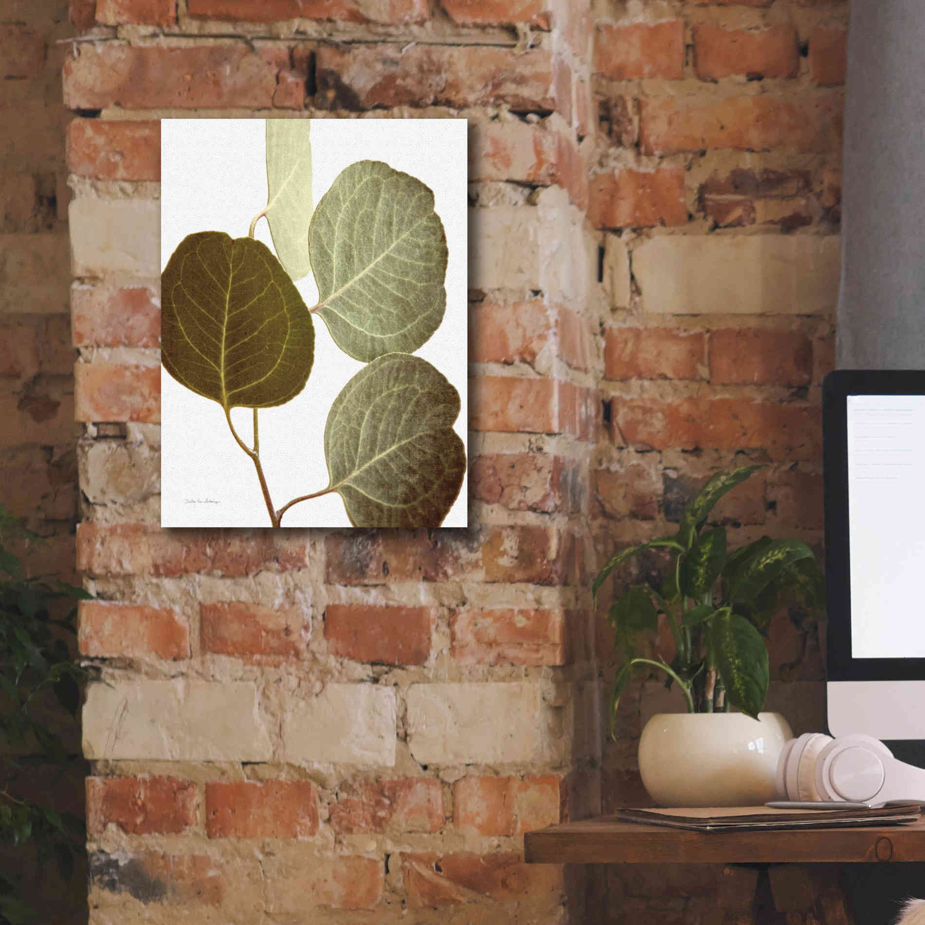 'Eucalyptus Color on White' by Debra Van Swearingen, Canvas Wall Art,12 x 16