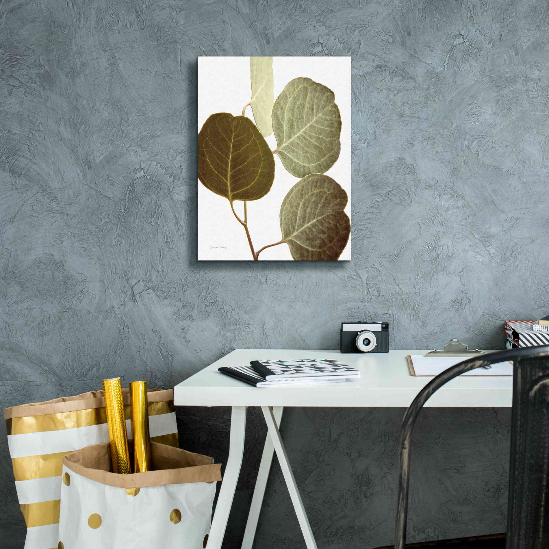 'Eucalyptus Color on White' by Debra Van Swearingen, Canvas Wall Art,12 x 16