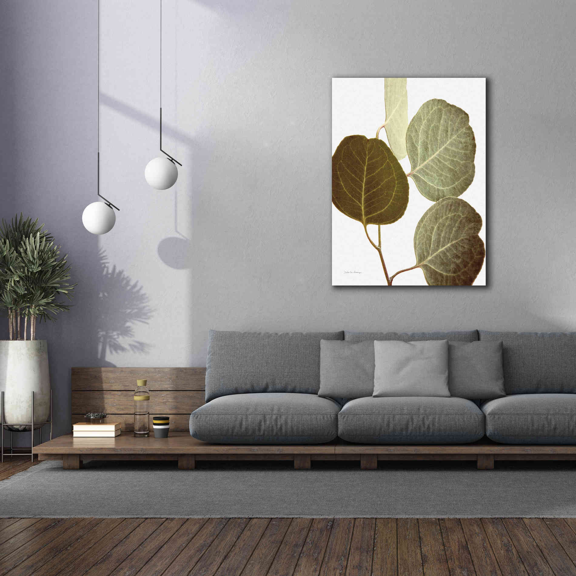 'Eucalyptus Color on White' by Debra Van Swearingen, Canvas Wall Art,40 x 54