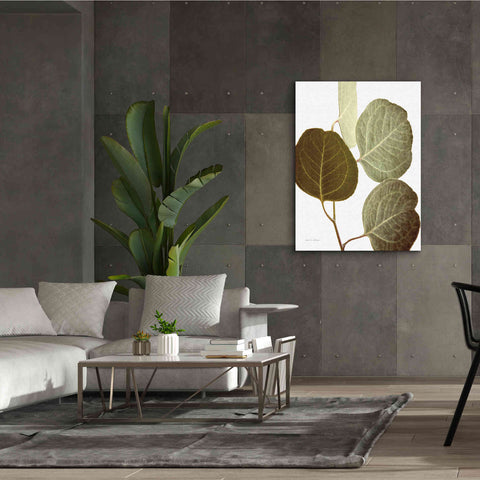 Image of 'Eucalyptus Color on White' by Debra Van Swearingen, Canvas Wall Art,40 x 54