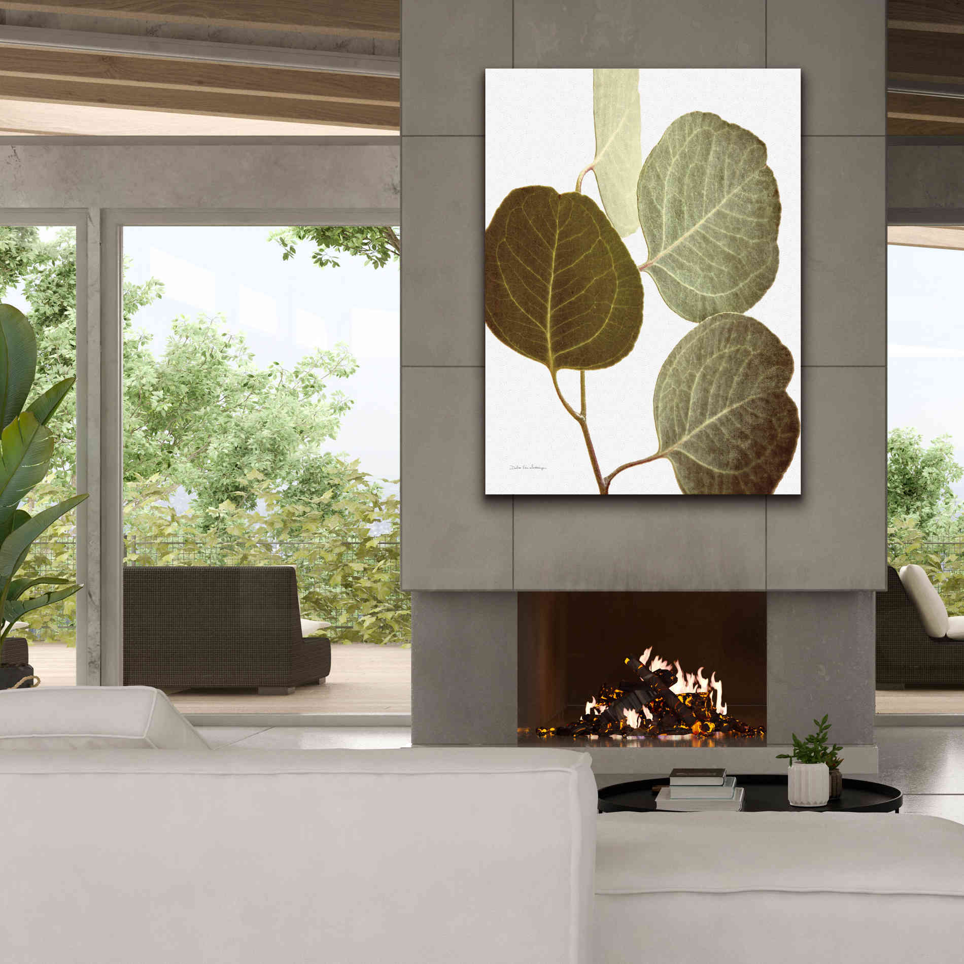 'Eucalyptus Color on White' by Debra Van Swearingen, Canvas Wall Art,40 x 54