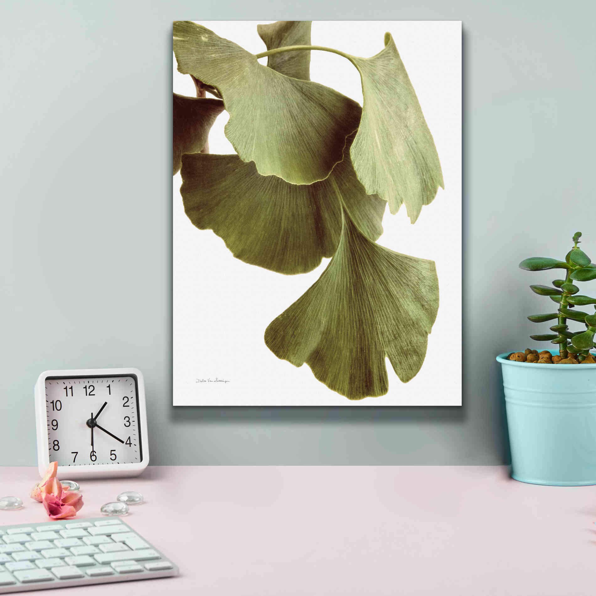 'Ginko Color on White' by Debra Van Swearingen, Canvas Wall Art,12 x 16