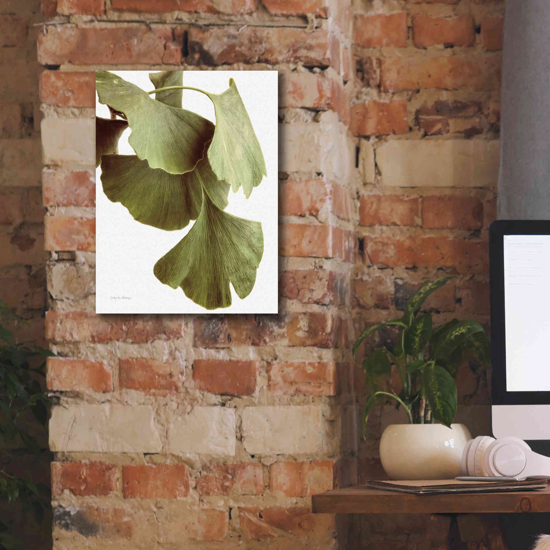 'Ginko Color on White' by Debra Van Swearingen, Canvas Wall Art,12 x 16