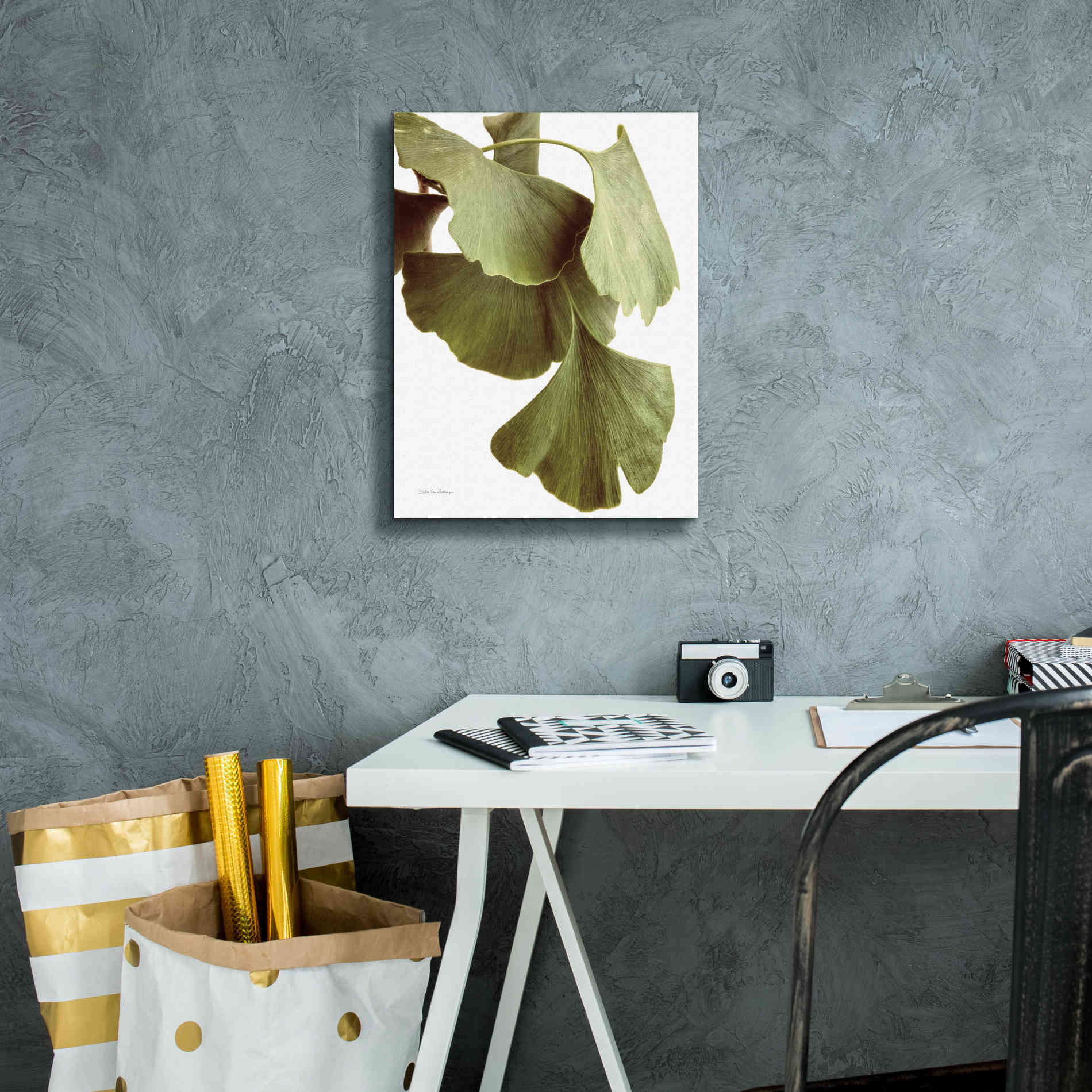 'Ginko Color on White' by Debra Van Swearingen, Canvas Wall Art,12 x 16