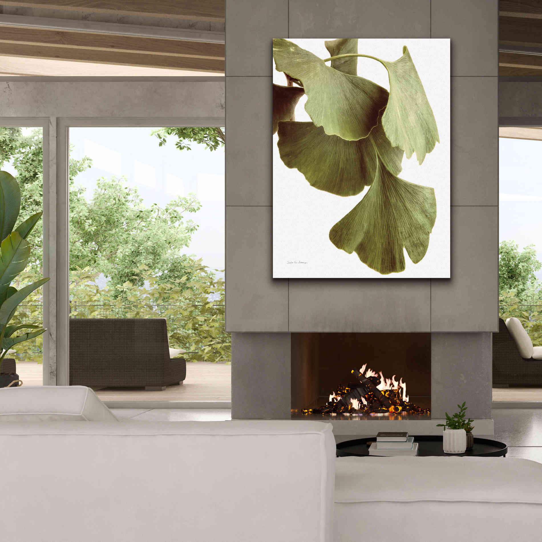 'Ginko Color on White' by Debra Van Swearingen, Canvas Wall Art,40 x 54