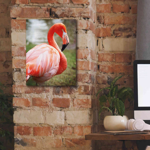 Image of 'Flamingo I' by Debra Van Swearingen, Canvas Wall Art,12 x 16