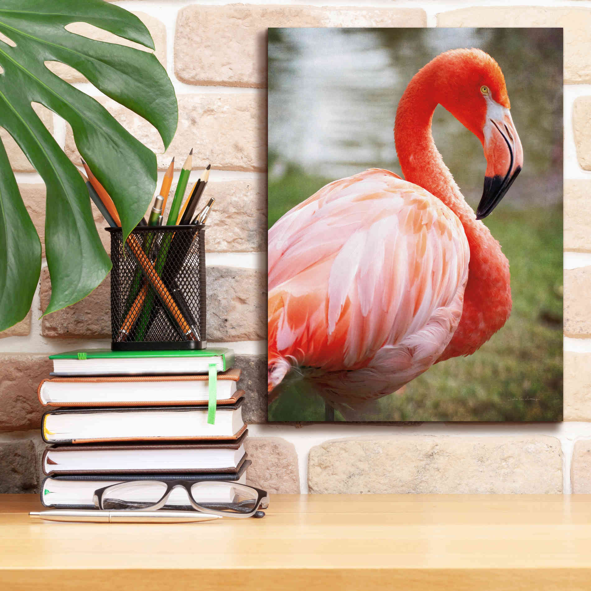 'Flamingo I' by Debra Van Swearingen, Canvas Wall Art,12 x 16