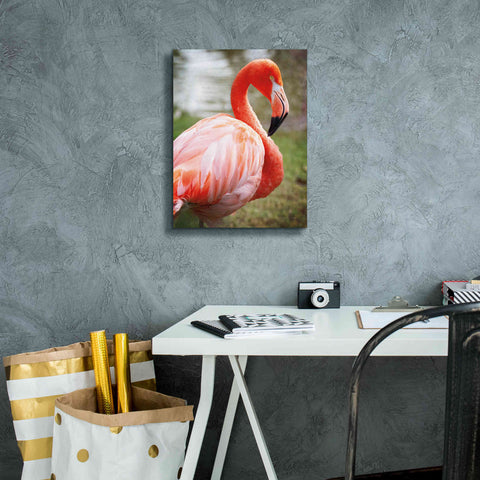 Image of 'Flamingo I' by Debra Van Swearingen, Canvas Wall Art,12 x 16