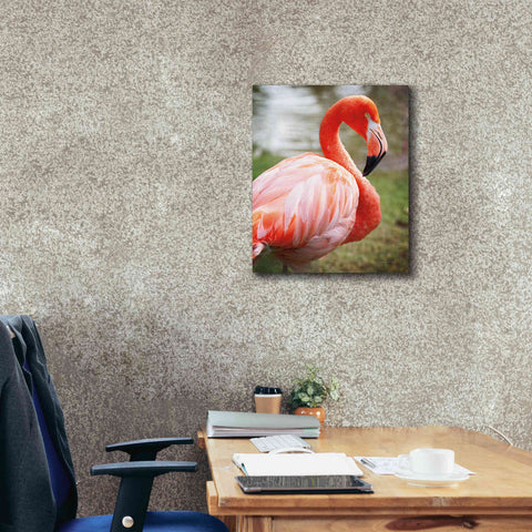 Image of 'Flamingo I' by Debra Van Swearingen, Canvas Wall Art,20 x 24