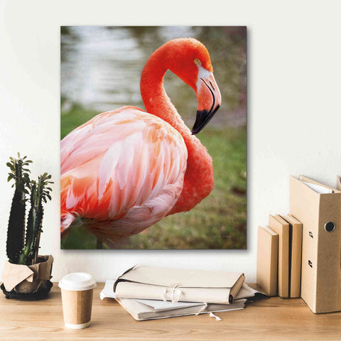 Image of 'Flamingo I' by Debra Van Swearingen, Canvas Wall Art,20 x 24