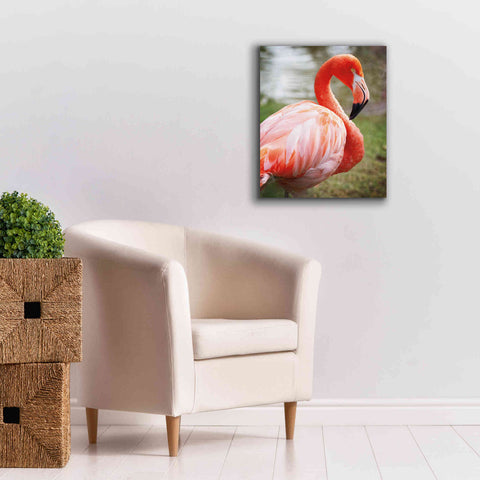 Image of 'Flamingo I' by Debra Van Swearingen, Canvas Wall Art,20 x 24