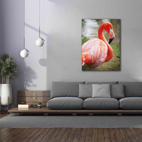 Image of 'Flamingo I' by Debra Van Swearingen, Canvas Wall Art,40 x 54