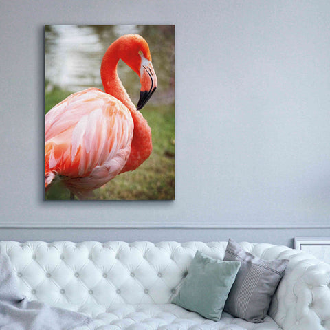 Image of 'Flamingo I' by Debra Van Swearingen, Canvas Wall Art,40 x 54
