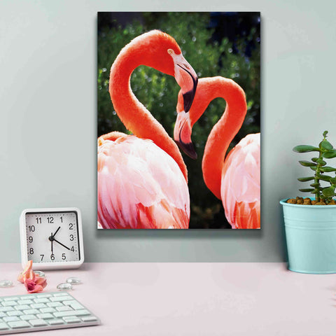 Image of 'Flamingo II' by Debra Van Swearingen, Canvas Wall Art,12 x 16