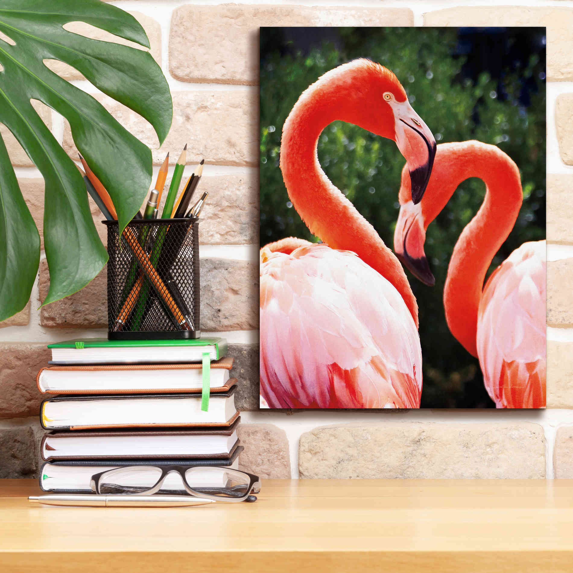 'Flamingo II' by Debra Van Swearingen, Canvas Wall Art,12 x 16