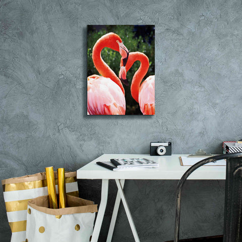Image of 'Flamingo II' by Debra Van Swearingen, Canvas Wall Art,12 x 16