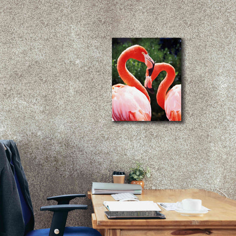 Image of 'Flamingo II' by Debra Van Swearingen, Canvas Wall Art,20 x 24