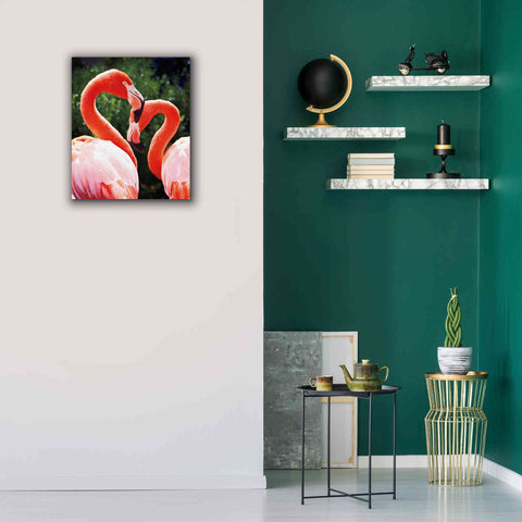 Image of 'Flamingo II' by Debra Van Swearingen, Canvas Wall Art,20 x 24