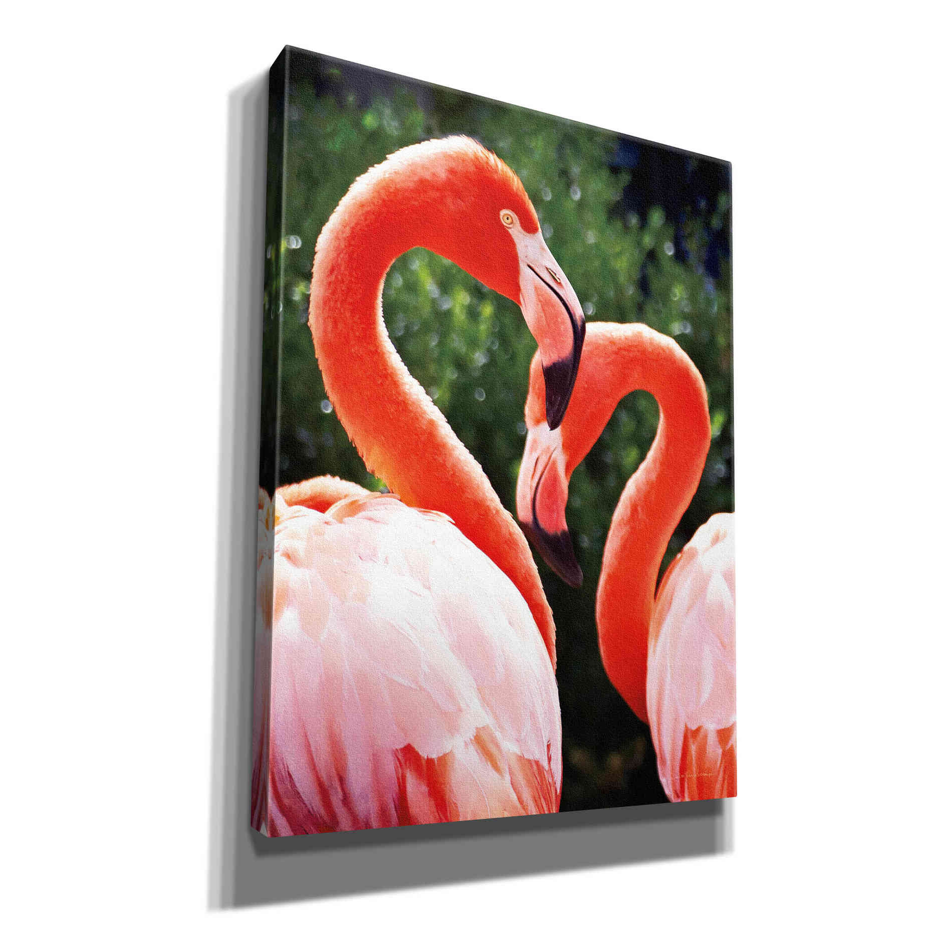 'Flamingo II' by Debra Van Swearingen, Canvas Wall Art,12x16x1.1x0,20x24x1.1x0,26x30x1.74x0,40x54x1.74x0