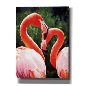 'Flamingo II' by Debra Van Swearingen, Canvas Wall Art,12x16x1.1x0,20x24x1.1x0,26x30x1.74x0,40x54x1.74x0