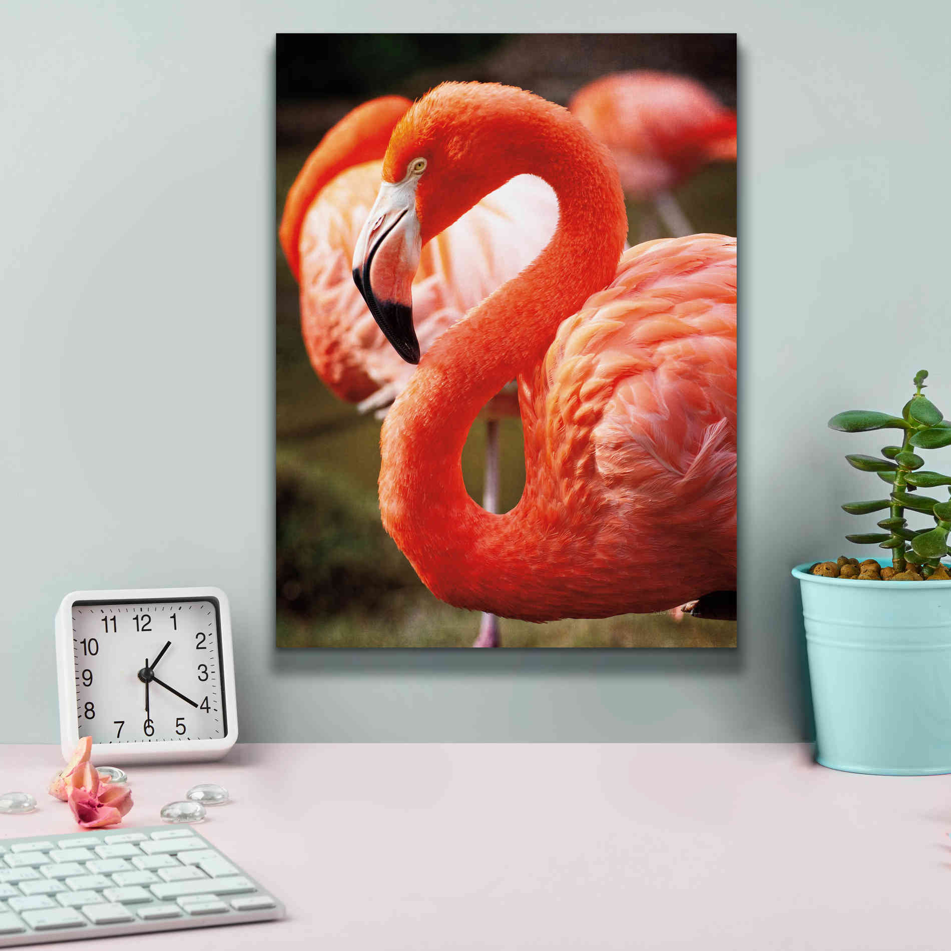 'Flamingo III' by Debra Van Swearingen, Canvas Wall Art,12 x 16