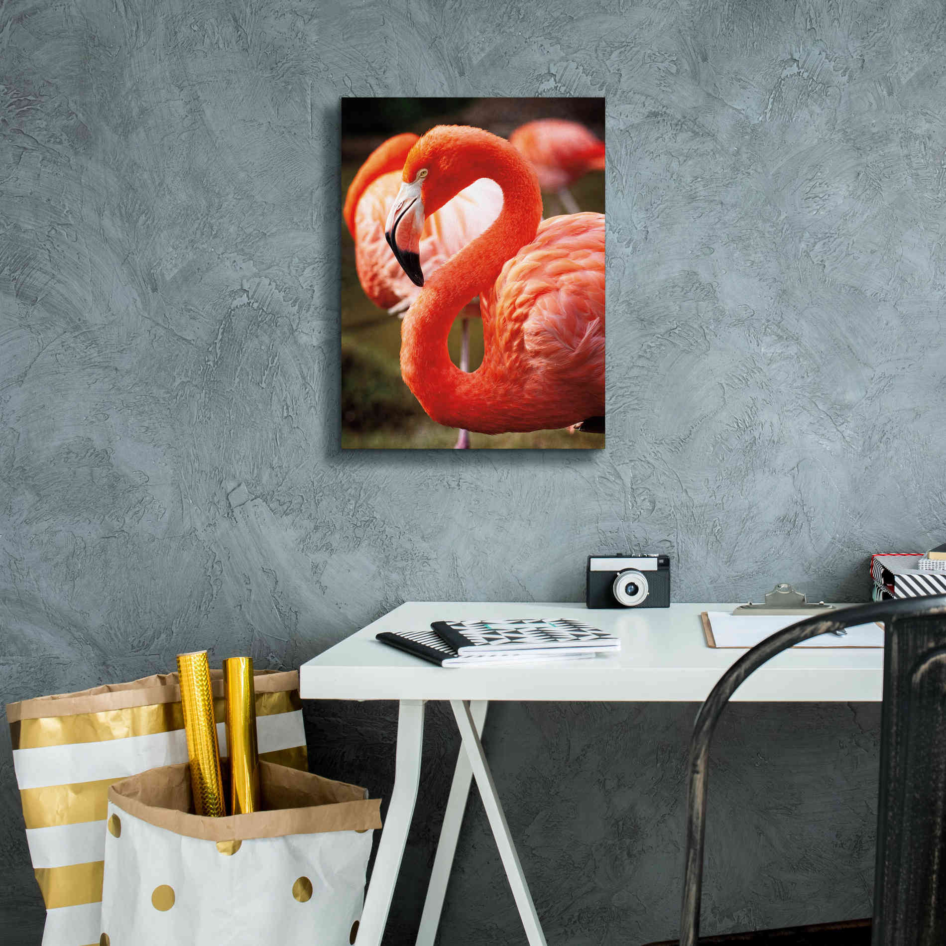 'Flamingo III' by Debra Van Swearingen, Canvas Wall Art,12 x 16