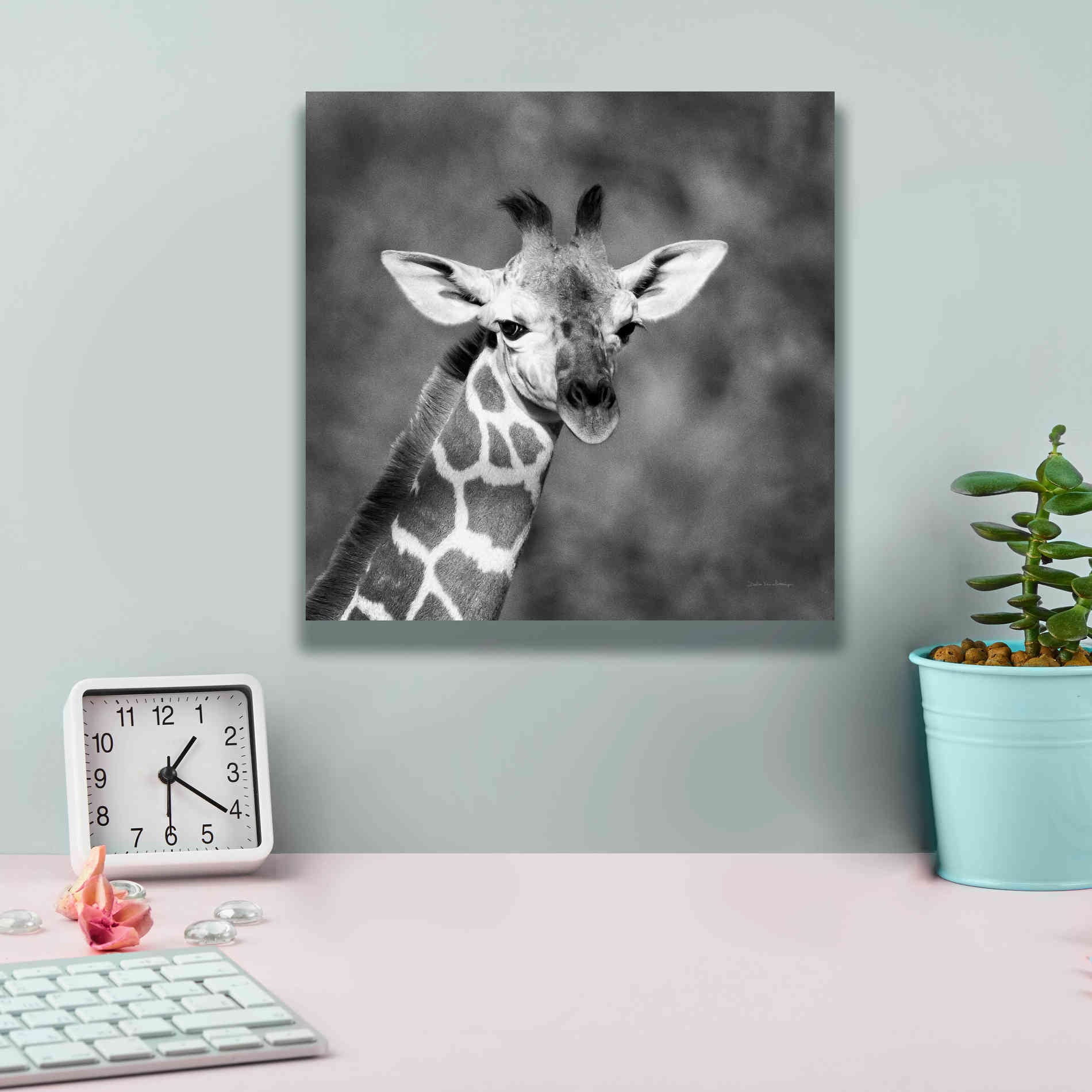 'Little Guy' by Debra Van Swearingen, Canvas Wall Art,12 x 12