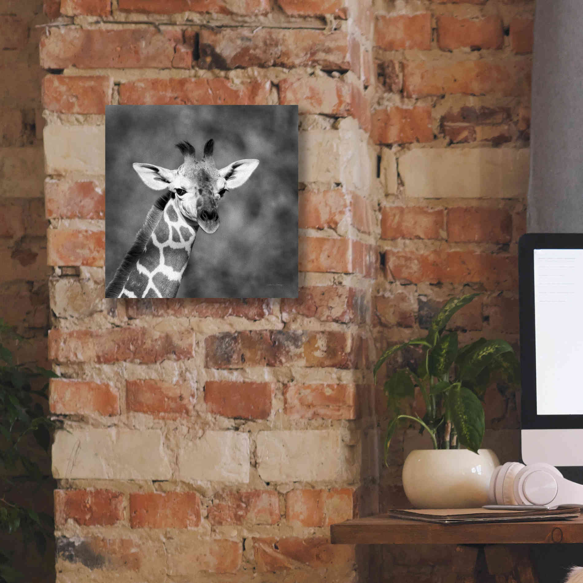 'Little Guy' by Debra Van Swearingen, Canvas Wall Art,12 x 12