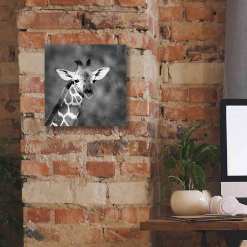 Image of 'Little Guy' by Debra Van Swearingen, Canvas Wall Art,12 x 12