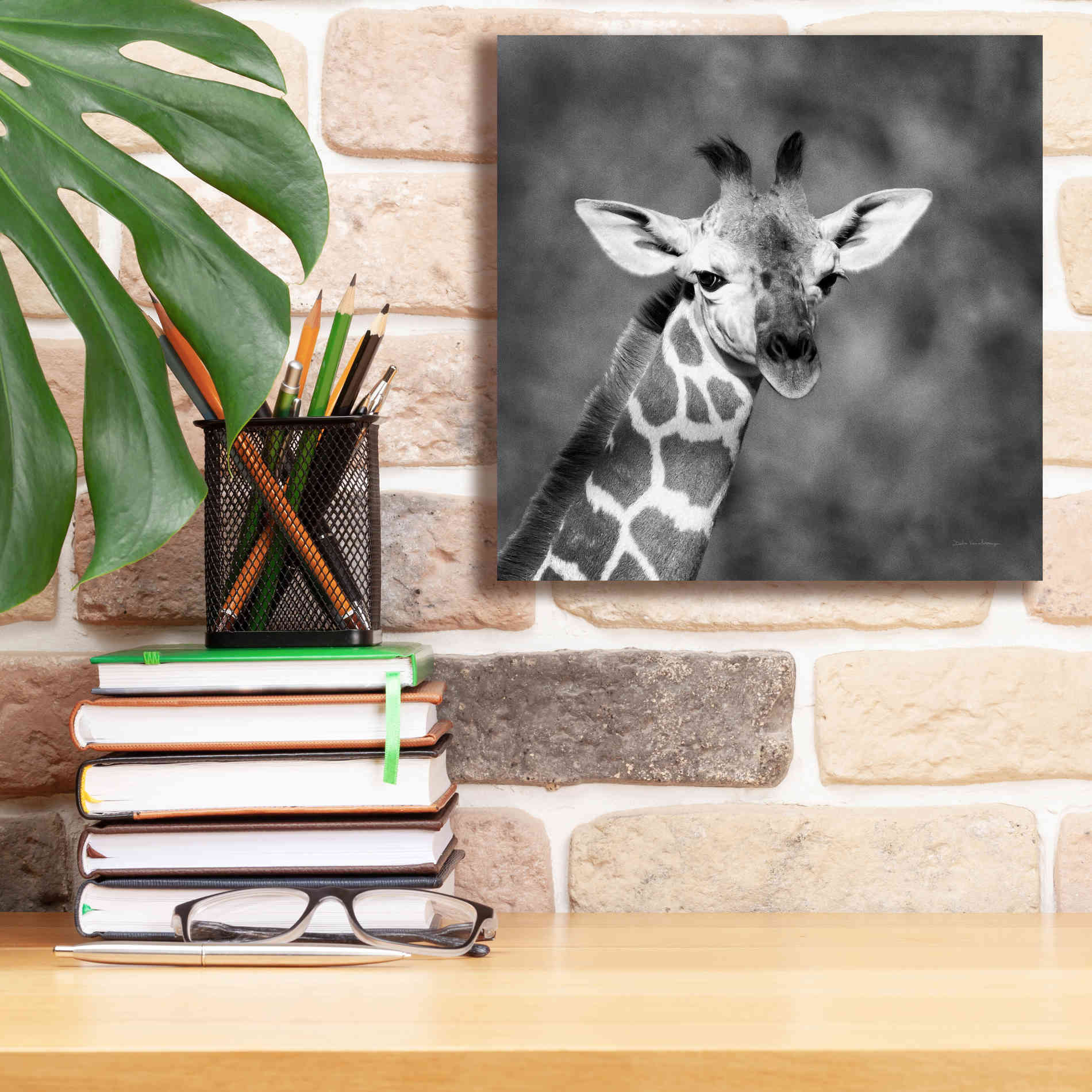 'Little Guy' by Debra Van Swearingen, Canvas Wall Art,12 x 12
