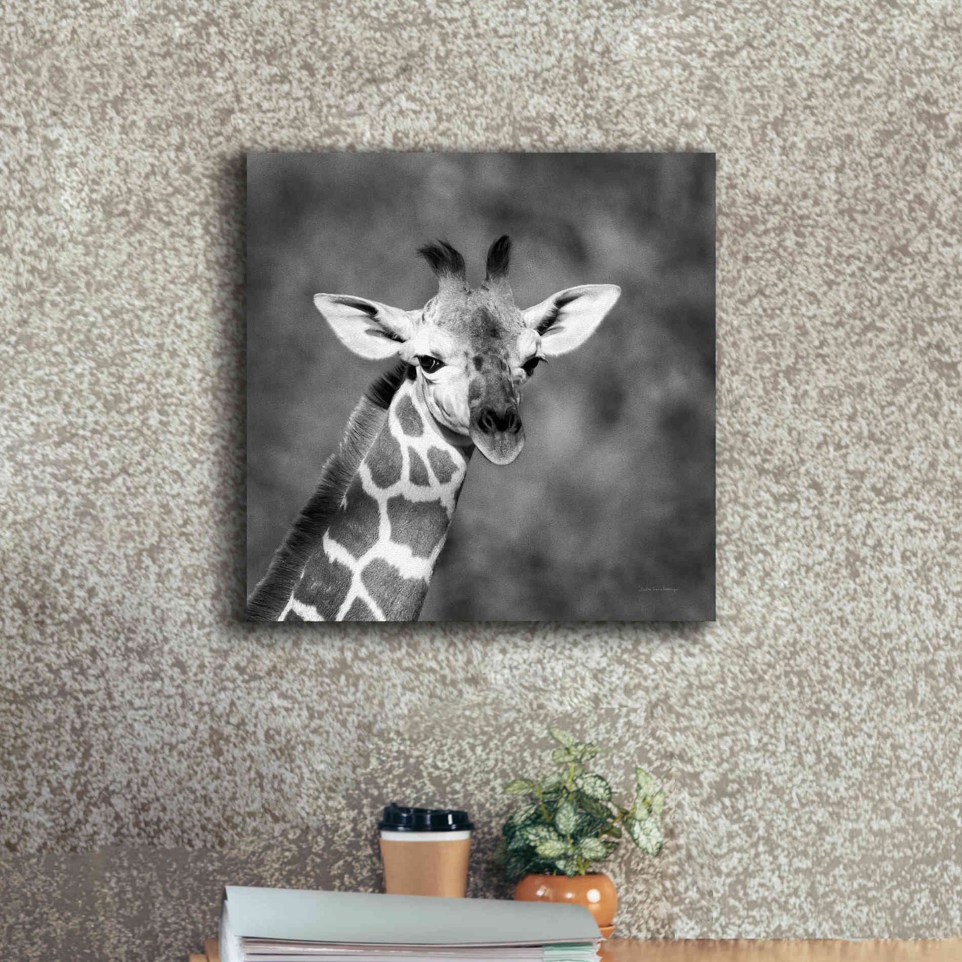 'Little Guy' by Debra Van Swearingen, Canvas Wall Art,18 x 18