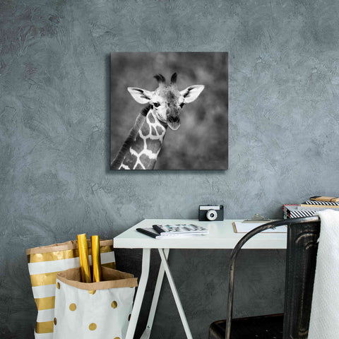 Image of 'Little Guy' by Debra Van Swearingen, Canvas Wall Art,18 x 18