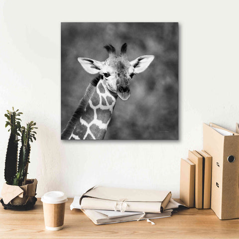 Image of 'Little Guy' by Debra Van Swearingen, Canvas Wall Art,18 x 18