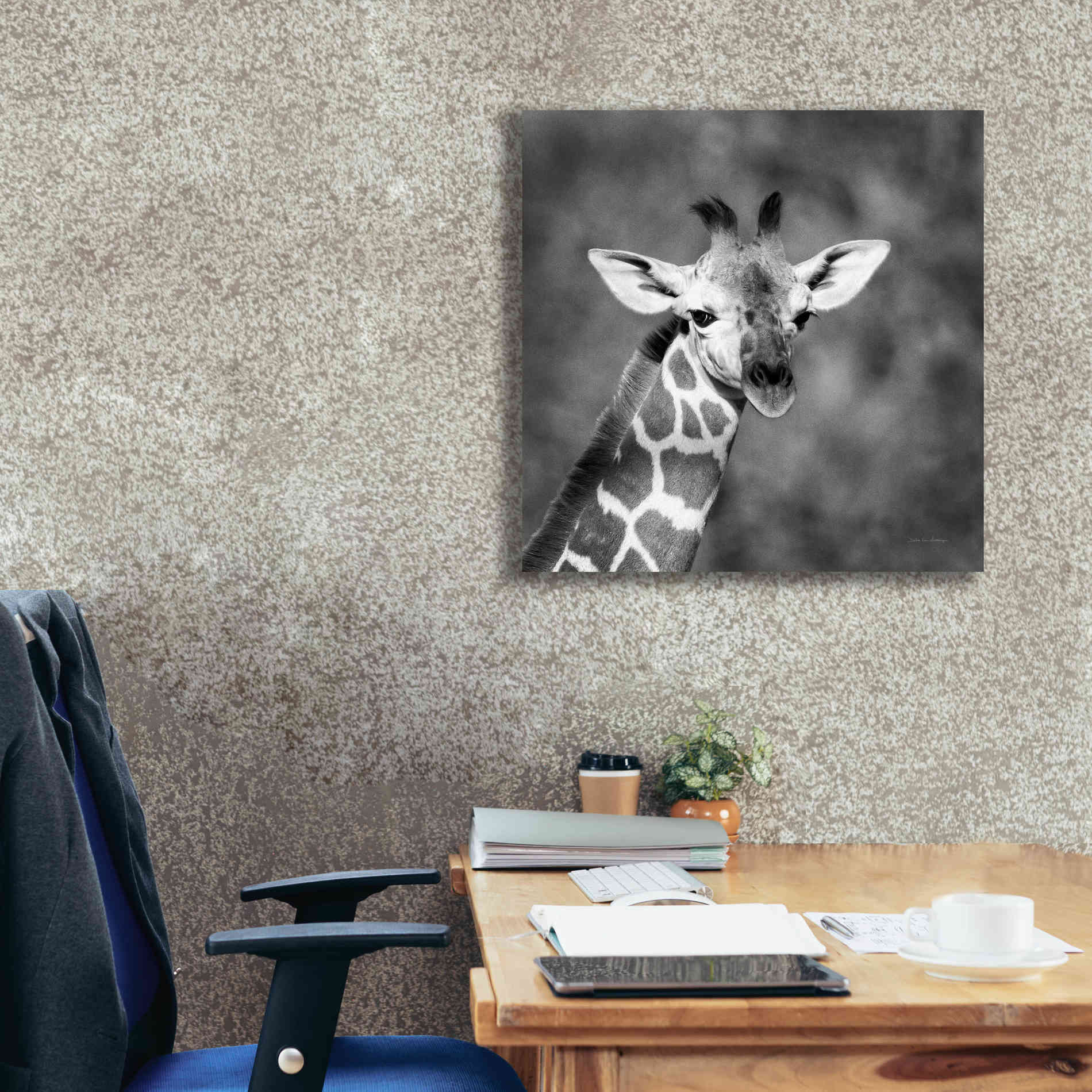 'Little Guy' by Debra Van Swearingen, Canvas Wall Art,26 x 26