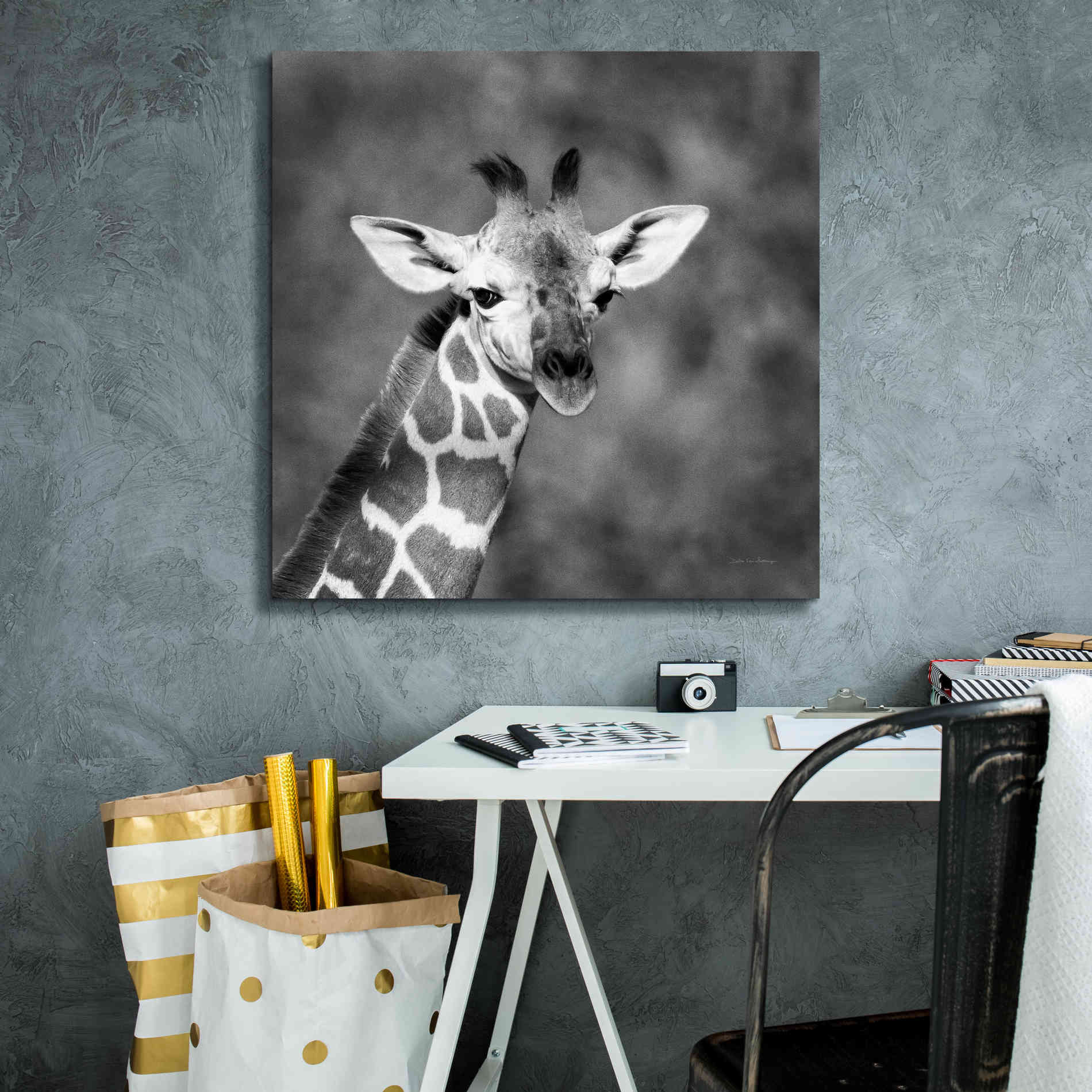 'Little Guy' by Debra Van Swearingen, Canvas Wall Art,26 x 26