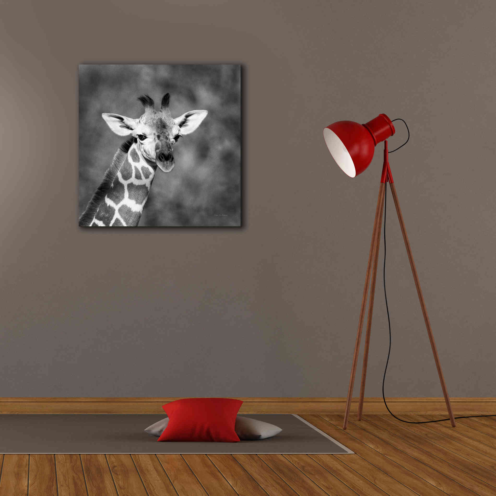 'Little Guy' by Debra Van Swearingen, Canvas Wall Art,26 x 26