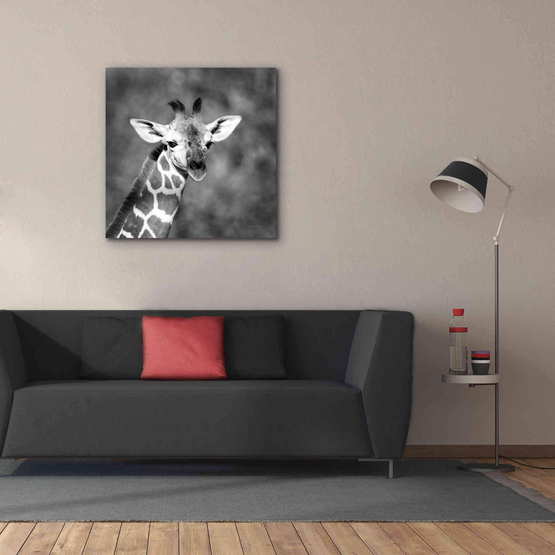 'Little Guy' by Debra Van Swearingen, Canvas Wall Art,37 x 37