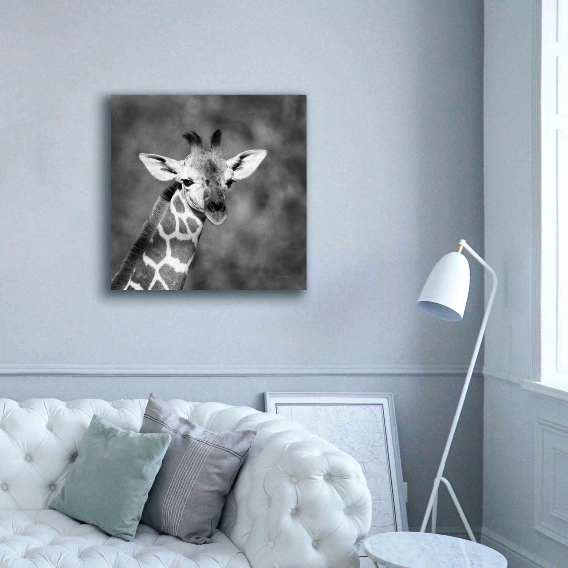 'Little Guy' by Debra Van Swearingen, Canvas Wall Art,37 x 37