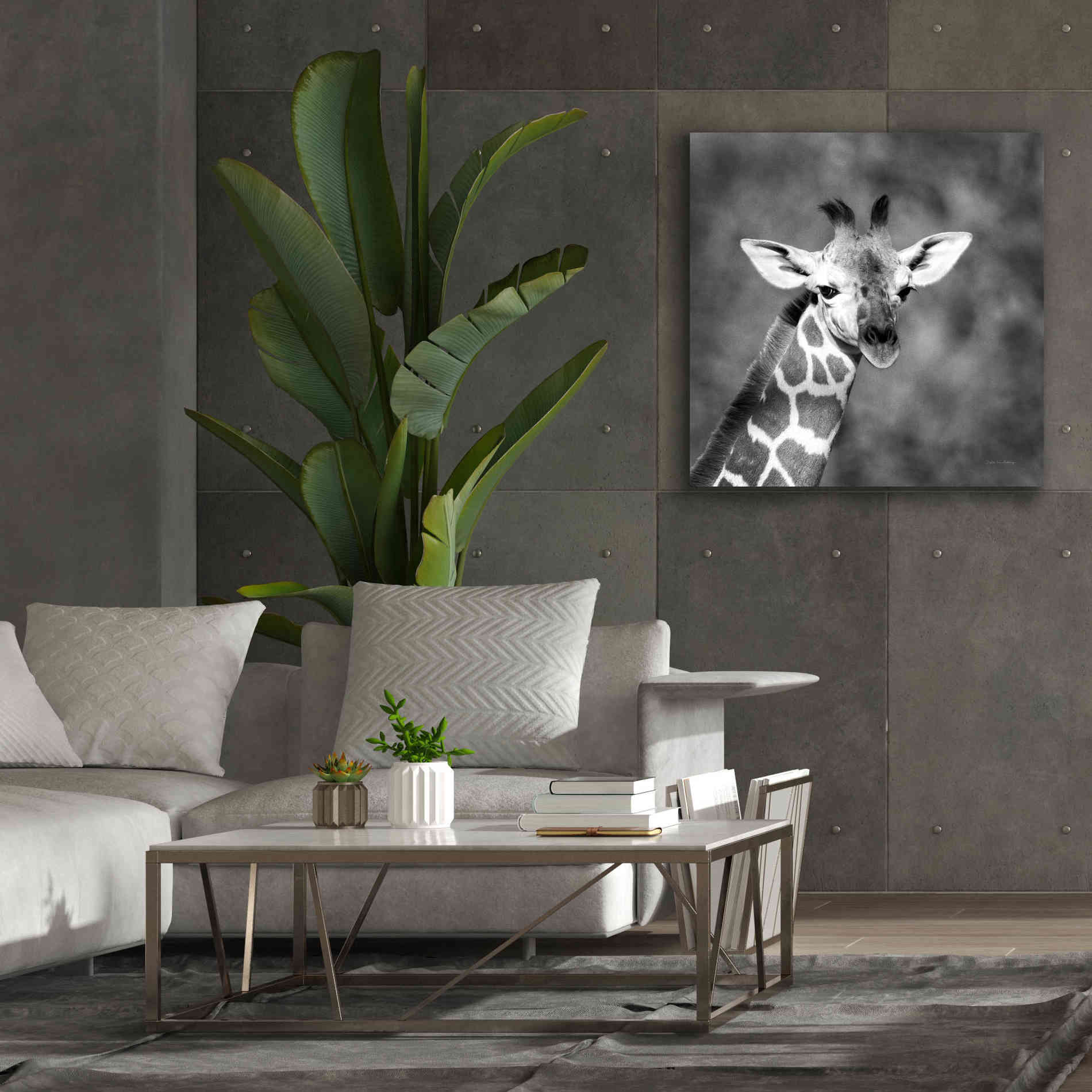 'Little Guy' by Debra Van Swearingen, Canvas Wall Art,37 x 37